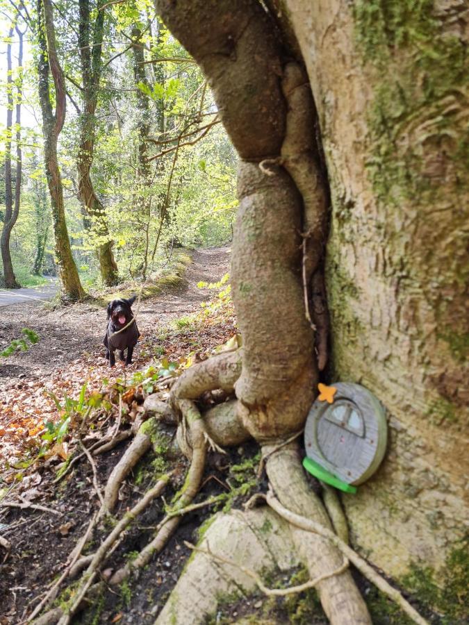 Old Road Cottage Pet Friendly Outdoors Beaches Neath Kültér fotó