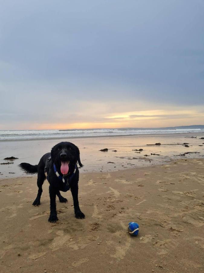Old Road Cottage Pet Friendly Outdoors Beaches Neath Kültér fotó